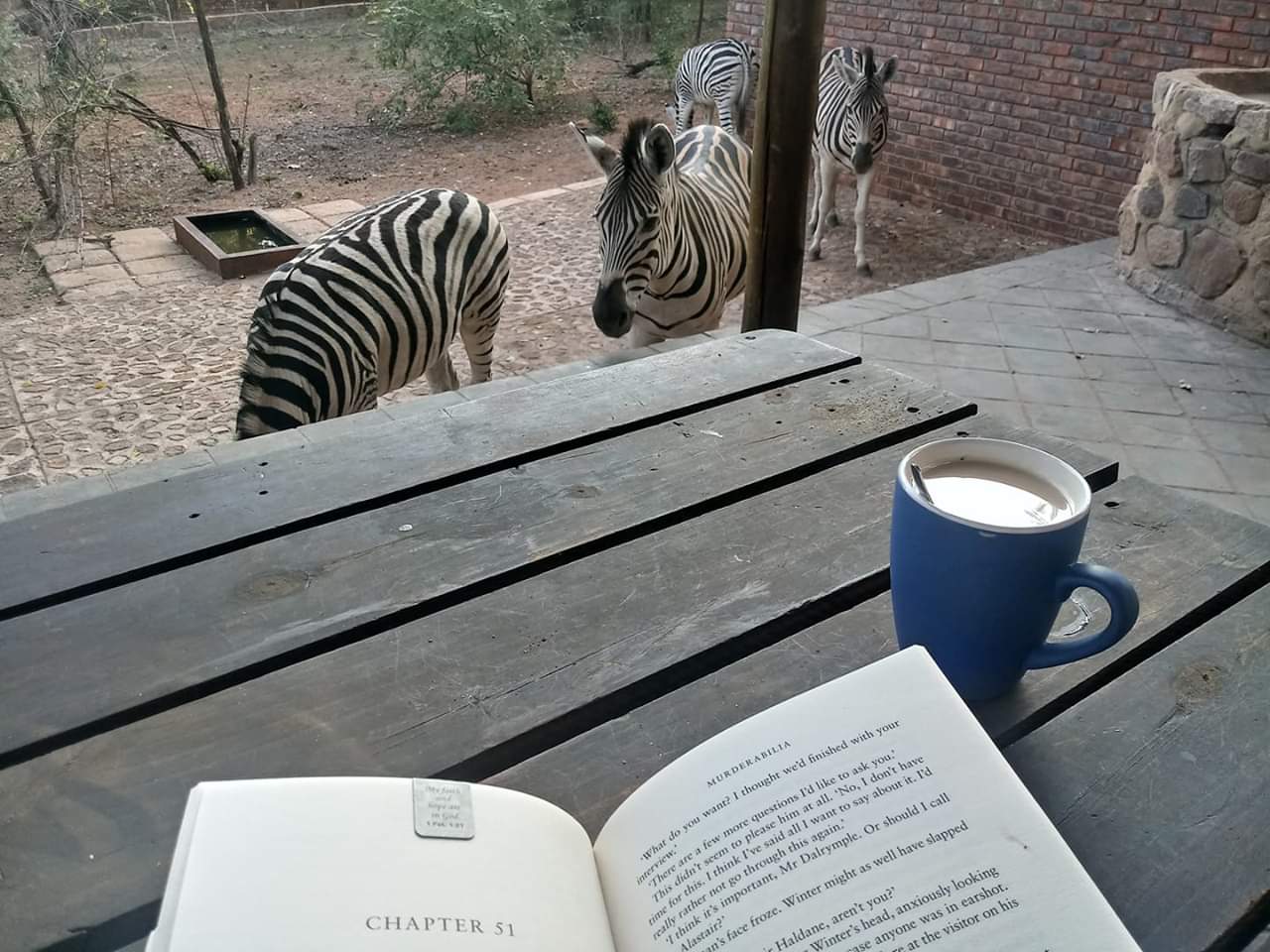 Relax - Book, Coffee & Zebra's