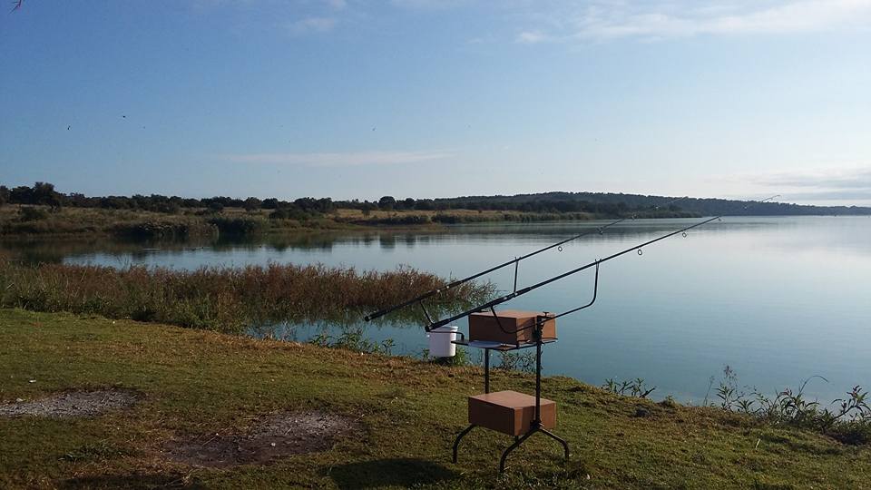 12963706_849935295130022_6625408122872854692_n