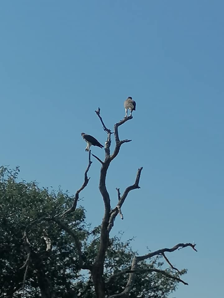 189939348_3746599362130253_5349143878431512076_n