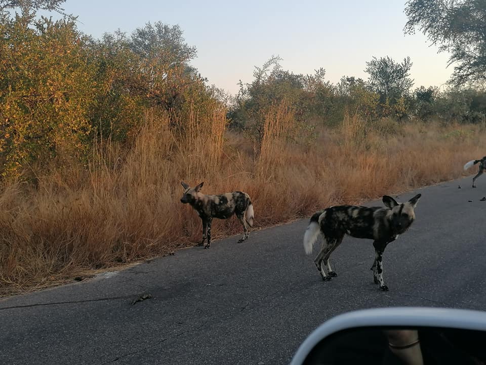 189964931_3746599072130282_769382491996875225_n