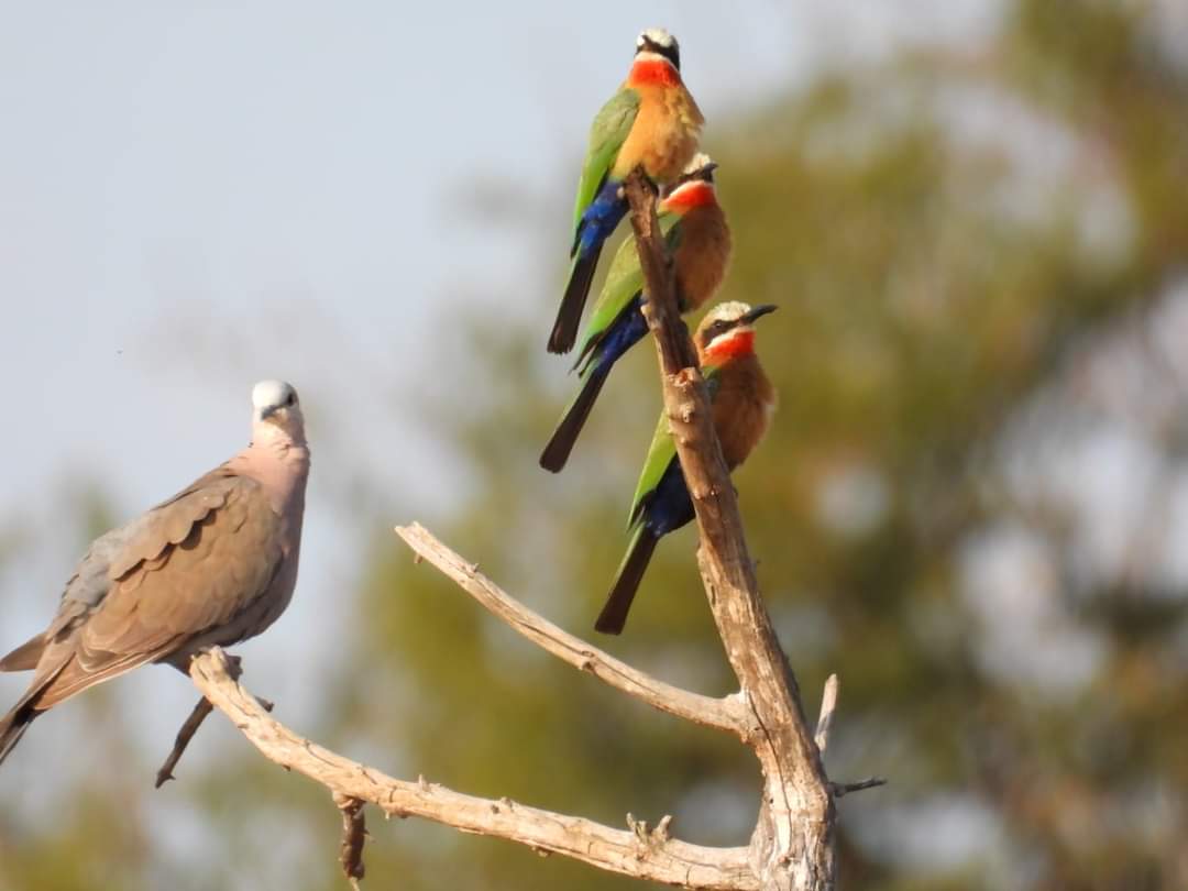 FB_IMG_1659073850100