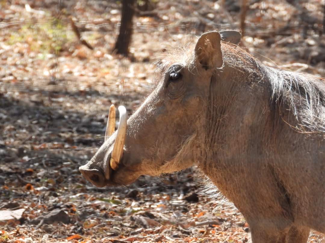 FB_IMG_1660282201696