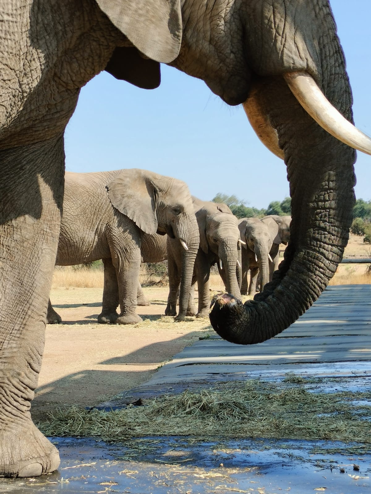 WhatsApp Image 2022-09-10 at 13.30.45