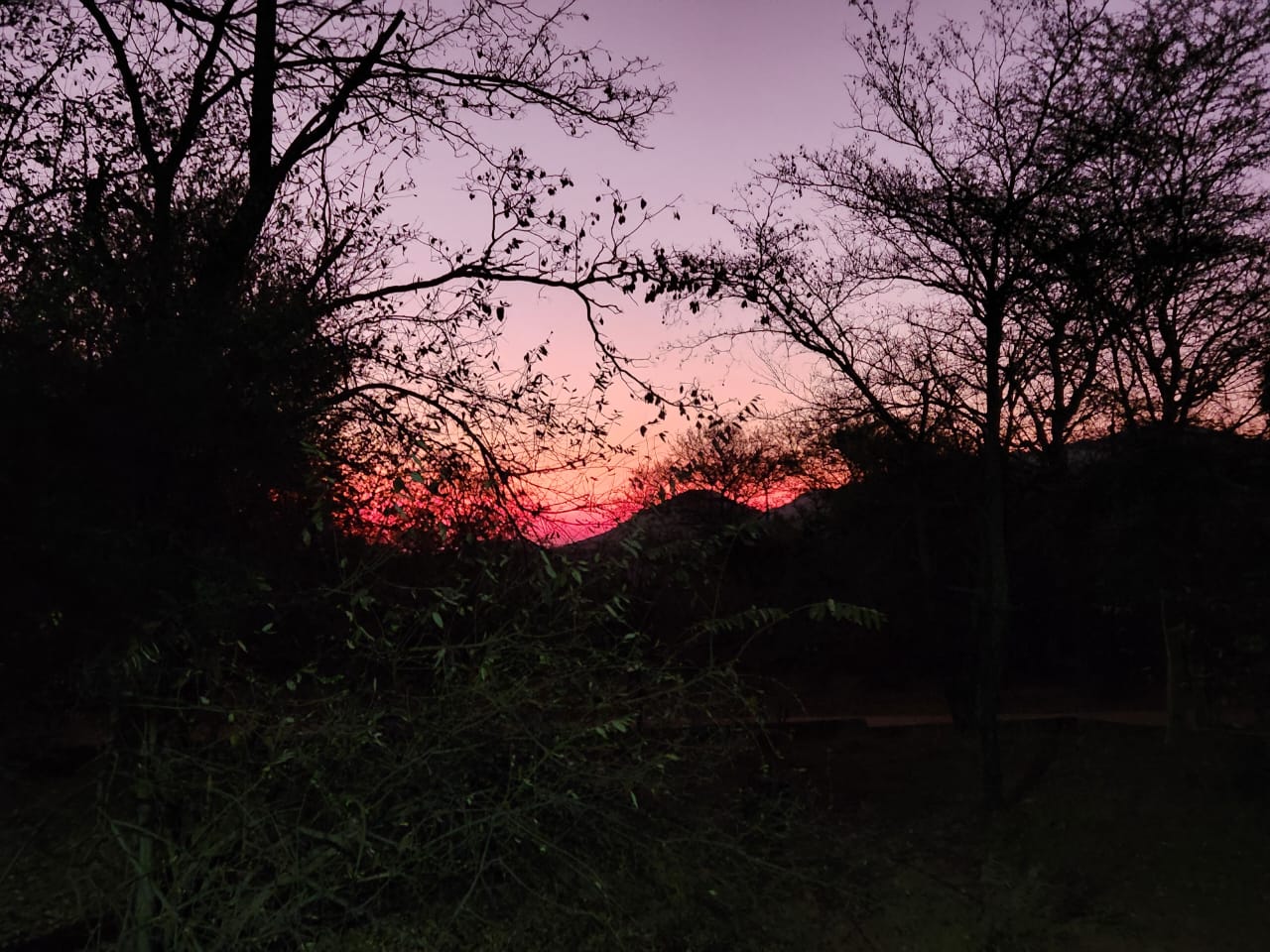 WhatsApp Image 2022-09-11 at 20.56.42 (3)