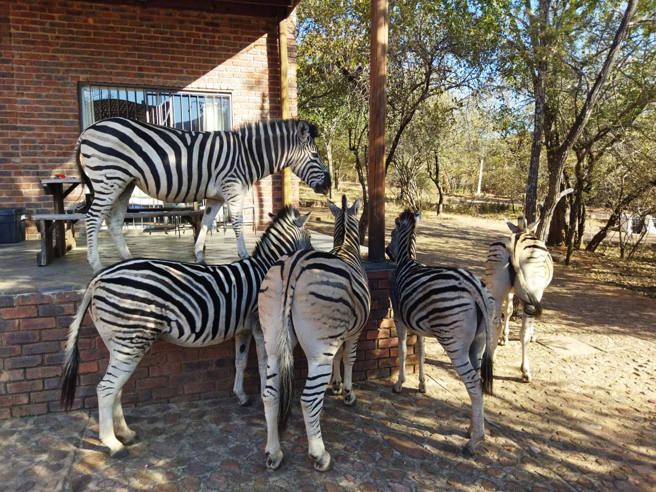 WhatsApp Image 2022-09-13 at 22.11.29