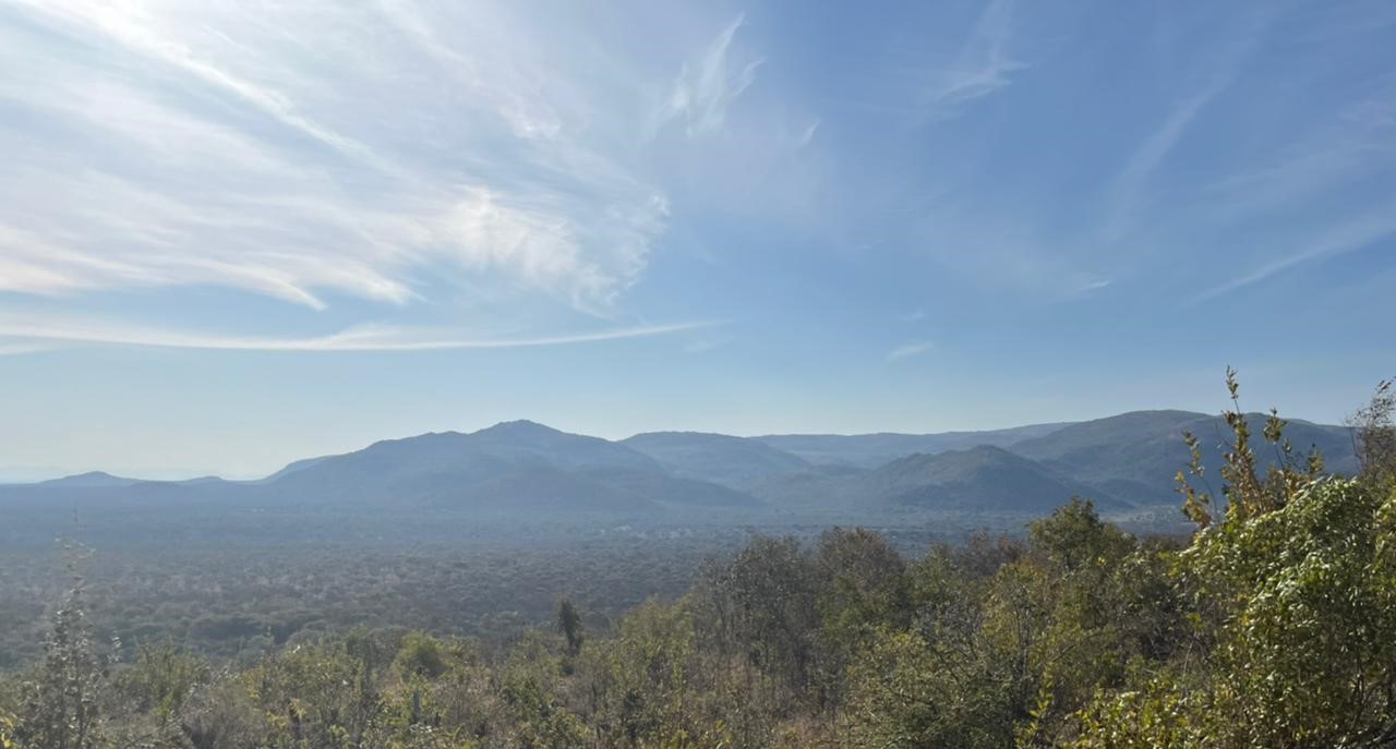 WhatsApp Image 2022-09-13 at 22.11.35 (3)