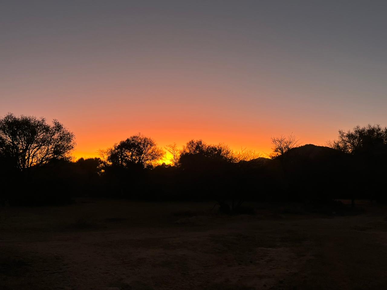 WhatsApp Image 2022-09-13 at 22.11.36 (3)