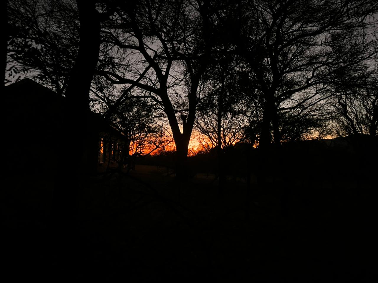 WhatsApp Image 2022-09-13 at 22.11.37