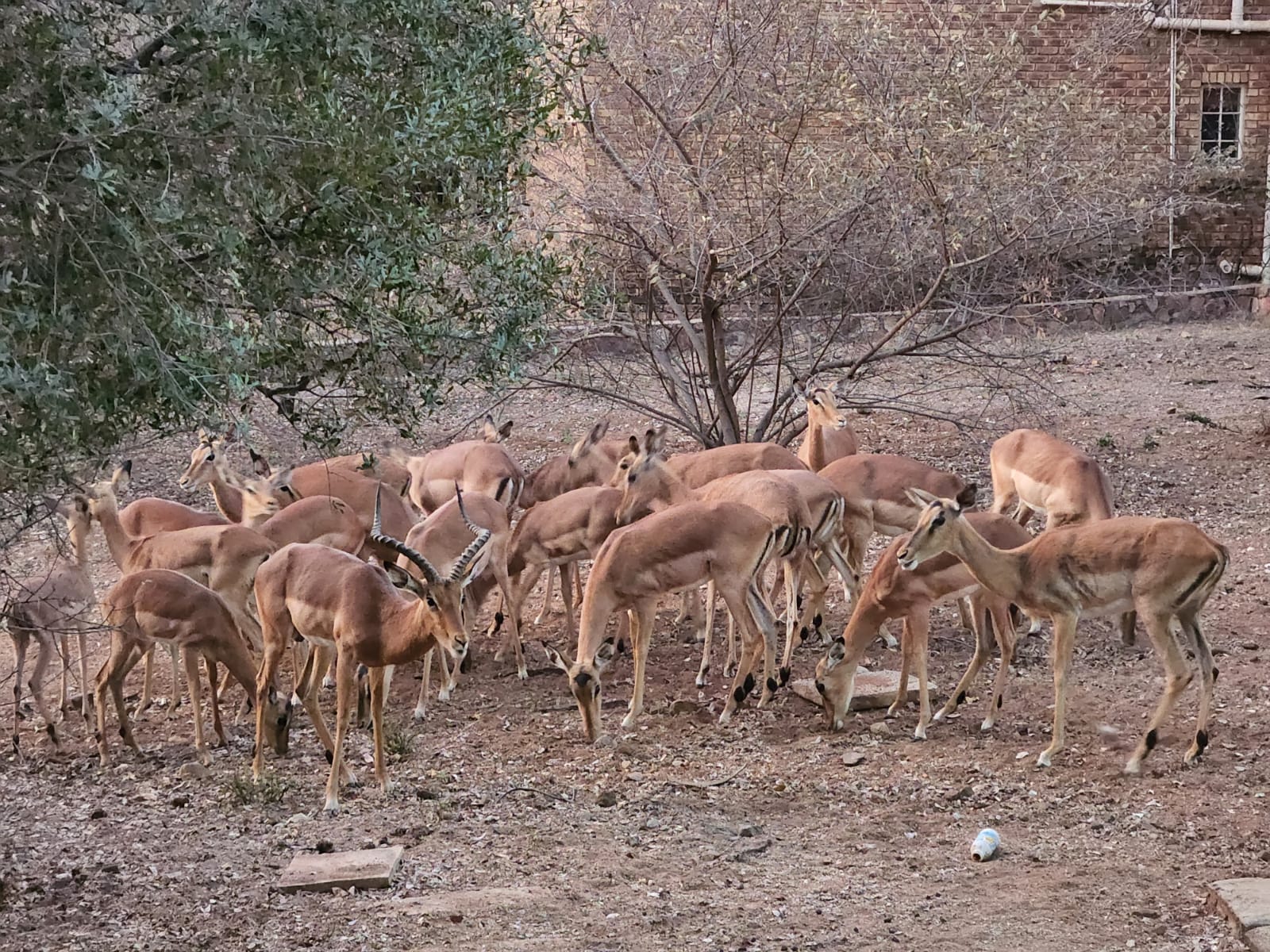 WhatsApp Image 2022-09-13 at 22.11.40